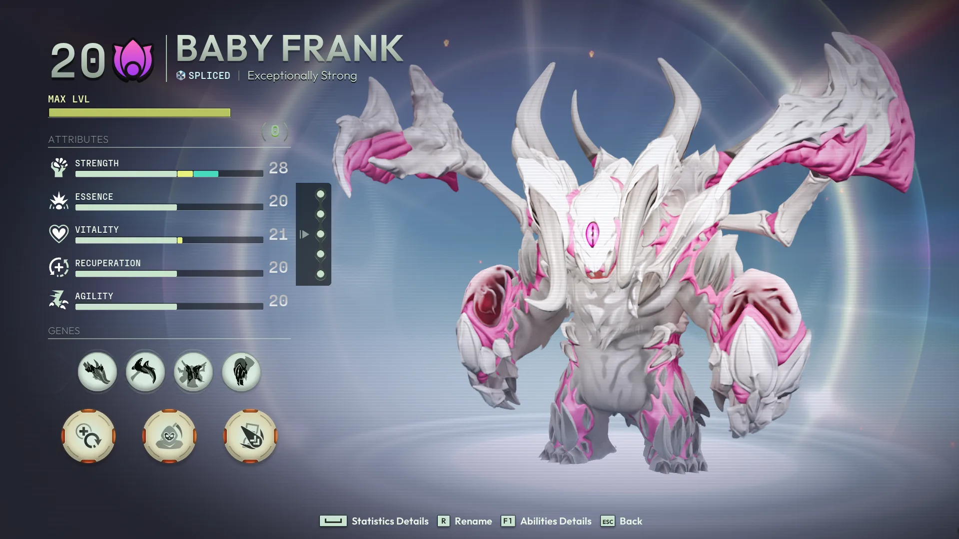 Baby Frank