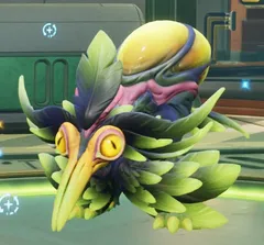 Kwipeck